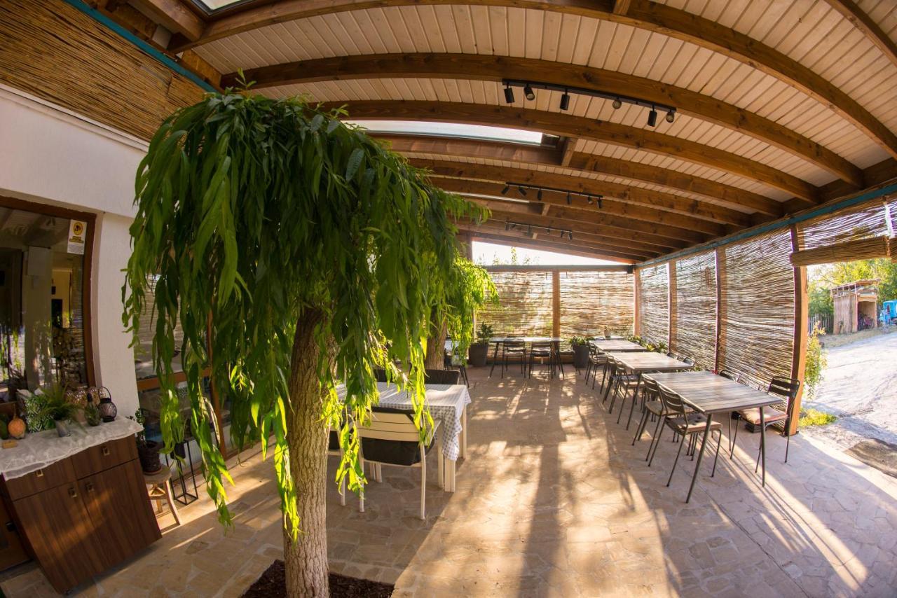 Pensiunea 4 Salcii Băltenii de Sus Exterior foto